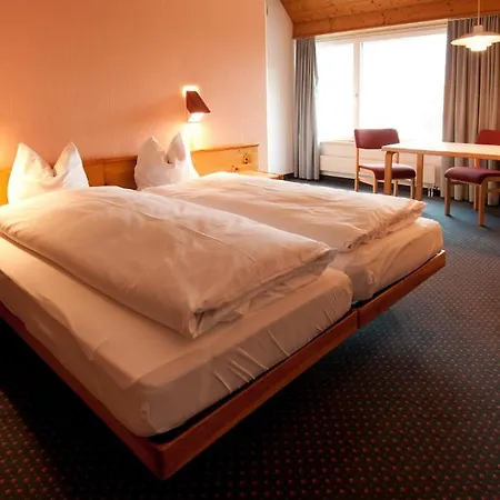 Hostel Alpin Sherpa Meiringen